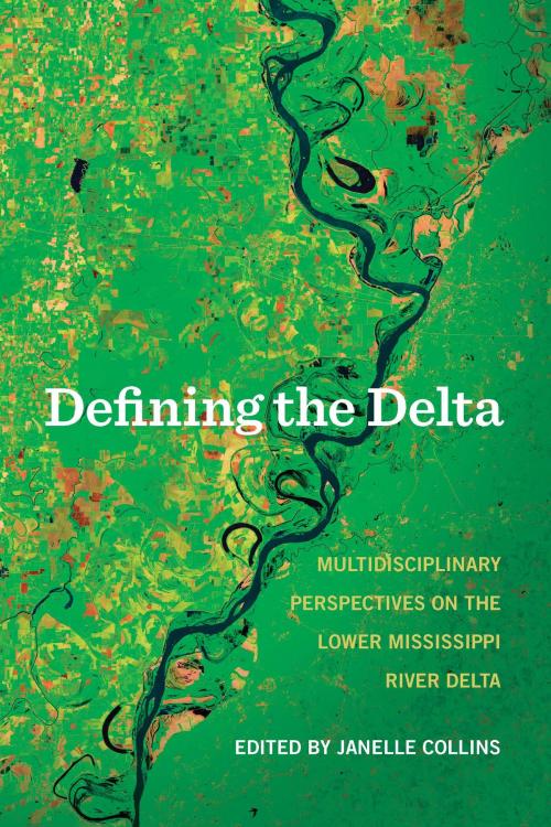 Cover of the book Defining the Delta by Janelle Collins, University of Arkansas Press