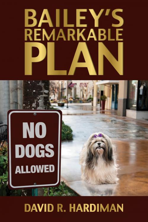 Cover of the book Bailey's Remarkable Plan by David R. Hardiman, Brown Books Publishing Group