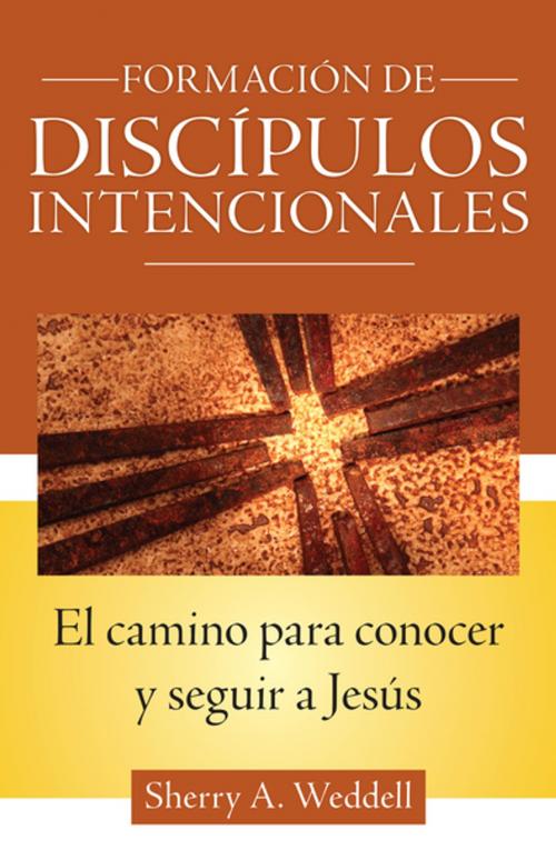 Cover of the book Forming Intentional Disciples by Sherry A. Weddell, Our Sunday Visitor