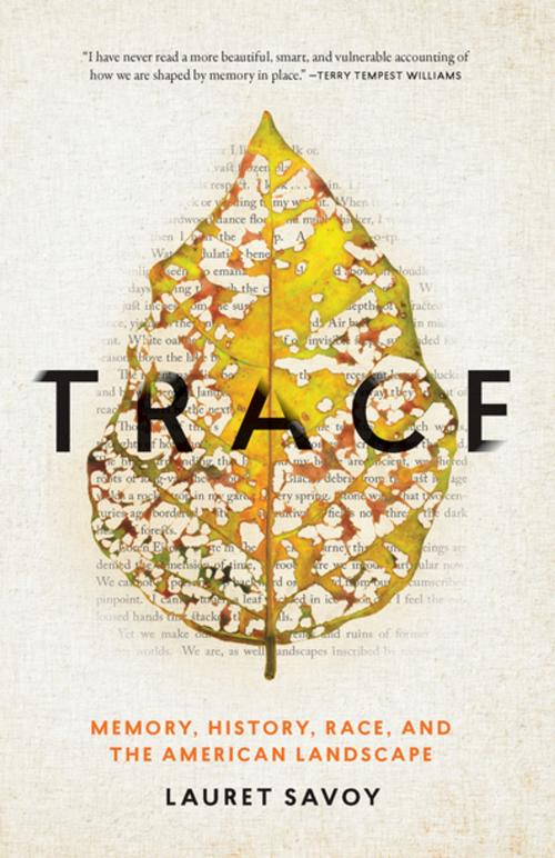Cover of the book Trace by Lauret Savoy, Counterpoint