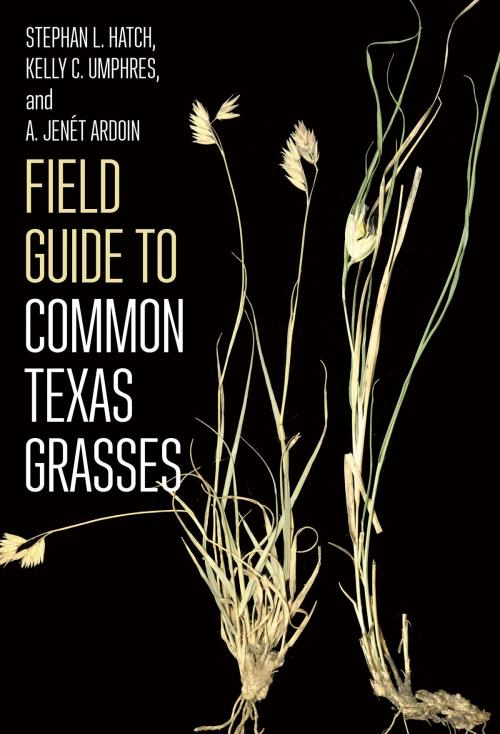 Cover of the book Field Guide to Common Texas Grasses by Stephan L. Hatch, Kelly C. Umphres, A. Jenét Ardoin, Texas A&M University Press