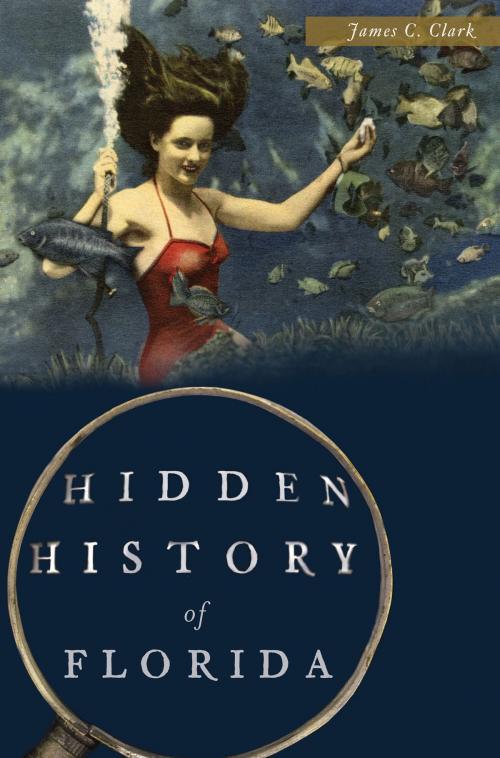 Cover of the book Hidden History of Florida by James C. Clark, Arcadia Publishing Inc.