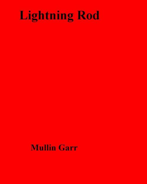 Cover of the book Lightning Rod by Mullin Garr, Olympia Press