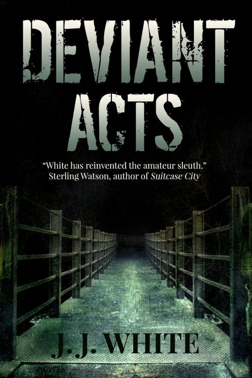 Cover of the book Deviant Acts by JJ White, Black Opal Books