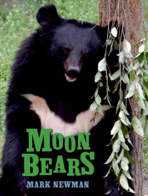 Cover of the book Moon Bears by Mark Newman, Henry Holt and Co. (BYR)