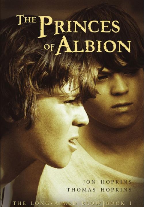Cover of the book The Princes of Albion by Jon Hopkins, Thomas Hopkins, Wheatmark, Inc.
