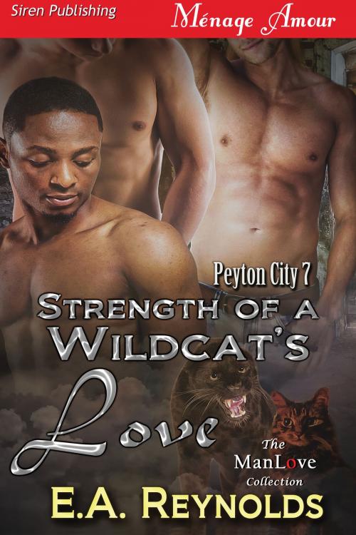 Cover of the book Strength of a Wildcat's Love by E.A. Reynolds, Siren-BookStrand