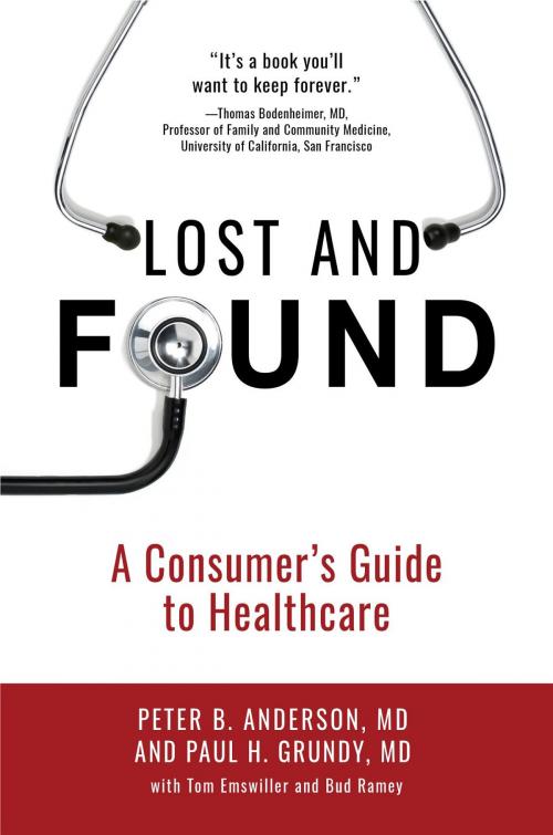 Cover of the book Lost and Found by Peter B. Anderson MD, Paul H. Grundy MD, Koehler Books