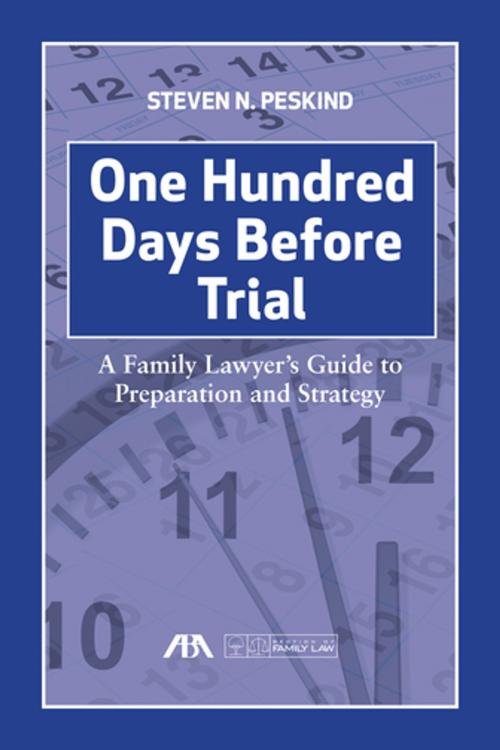 Cover of the book One Hundred Days Before Trial by Steven  Nathan Peskind, American Bar Association