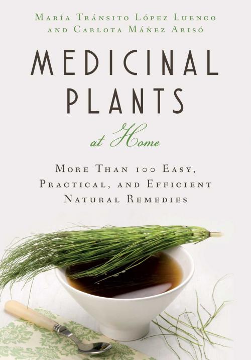 Cover of the book Medicinal Plants at Home by Carlota Máñez, Maria Tránsito López Luengo, Skyhorse