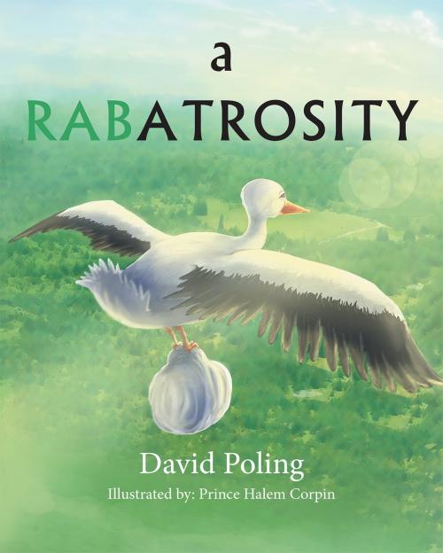 Cover of the book A RABATROSITY by David Poling, Page Publishing, Inc.
