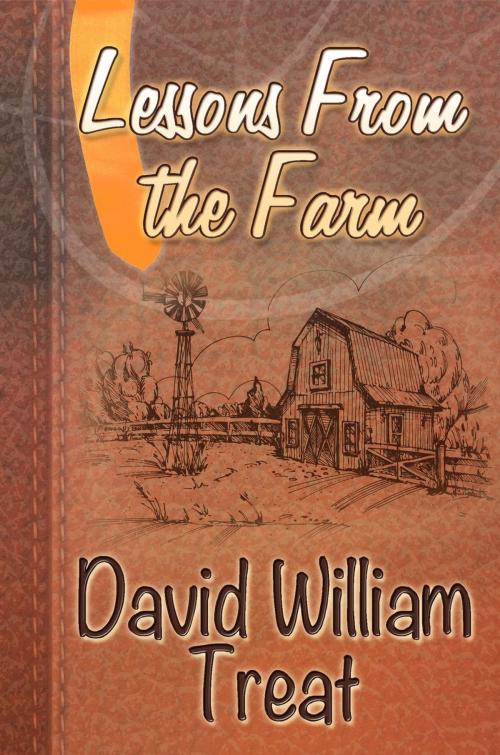 Cover of the book Lessons From the Farm by David Treat, Olivia Kimbrell Press, Inc.