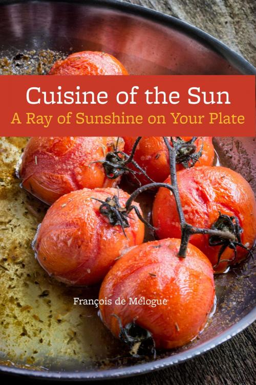 Cover of the book Cuisine of the Sun by François de Mélogue, BookBaby