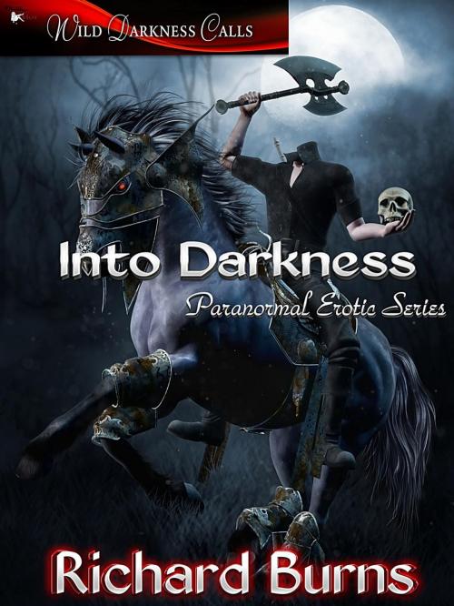 Cover of the book Into Darkness Box Set by Richard Burns, MuseItUp Publishing