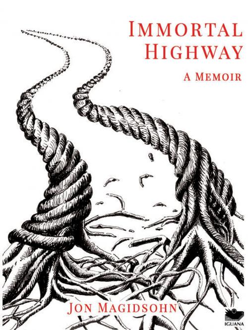 Cover of the book Immortal Highway by Jon Magidsohn, Iguana Books