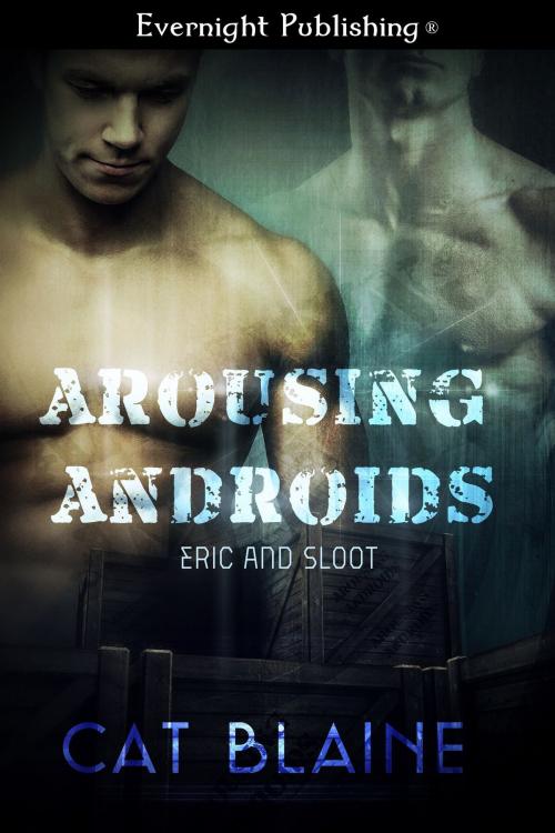 Cover of the book Eric and Sloot by Cat Blaine, Evernight Publishing