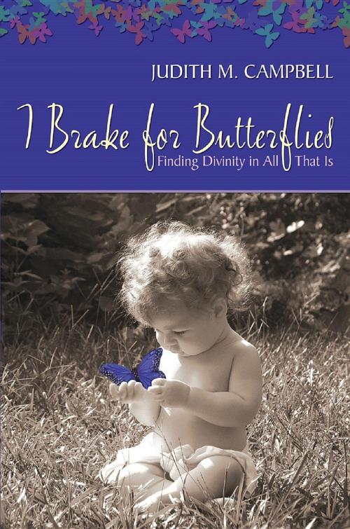 Cover of the book I Break for Butterflies - Finding Divinity in All That Is by Judith M Campbell, Burnstown Publishing House