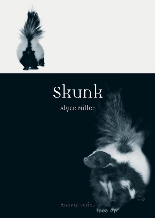 Cover of the book Skunk by Alyce L. Miller, Reaktion Books