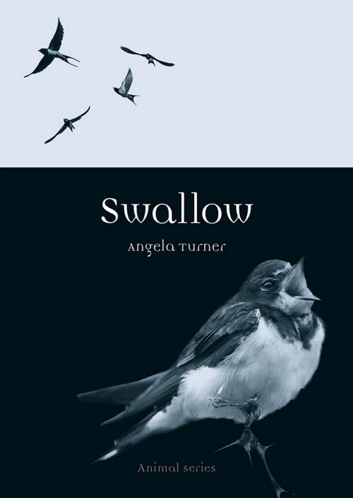 Cover of the book Swallow by Angela Turner, Reaktion Books