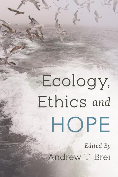 Cover of the book Ecology, Ethics and Hope by , Rowman & Littlefield International