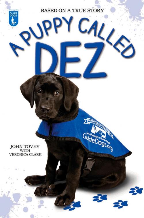 Cover of the book A Puppy Called Dez by John Tovey, Veronica Clark, John Blake