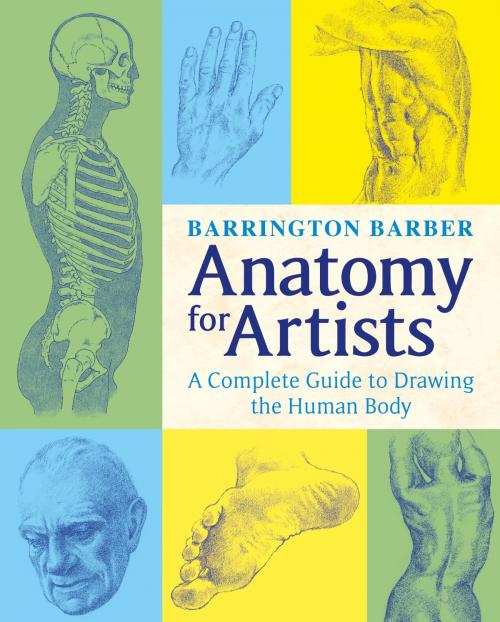 Cover of the book Anatomy for Artists by Barrington Barber, Arcturus Publishing
