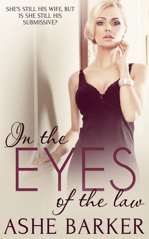 Cover of the book In the Eyes of the Law by Ashe Barker, Totally Entwined Group Ltd