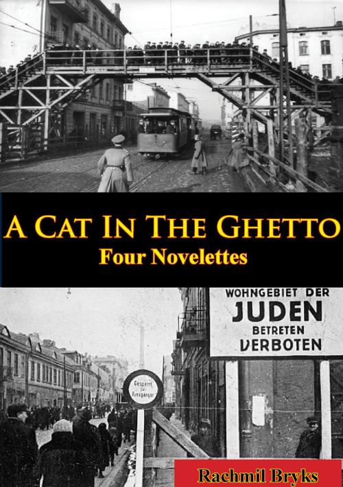 Cover of the book A Cat In The Ghetto, Four Novelettes by Rachmil Bryks, Normanby Press