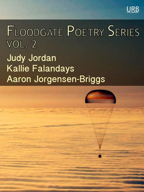 Cover of the book Floodgate Poetry Series Vol. 2 by Judy Jordan, Kallie Falandays, Aaron Jorgensen-Briggs, Upper Rubber Boot Books