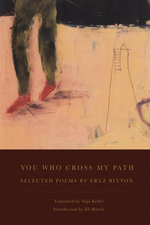 Cover of the book You Who Cross My Path by Erez Bitton, BOA Editions Ltd.