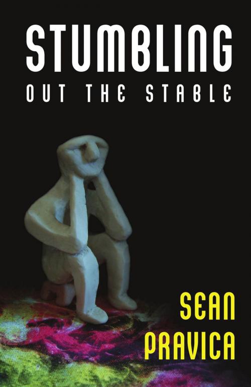Cover of the book Stumbling Out the Stable by Sean Pravica, Pelekinesis
