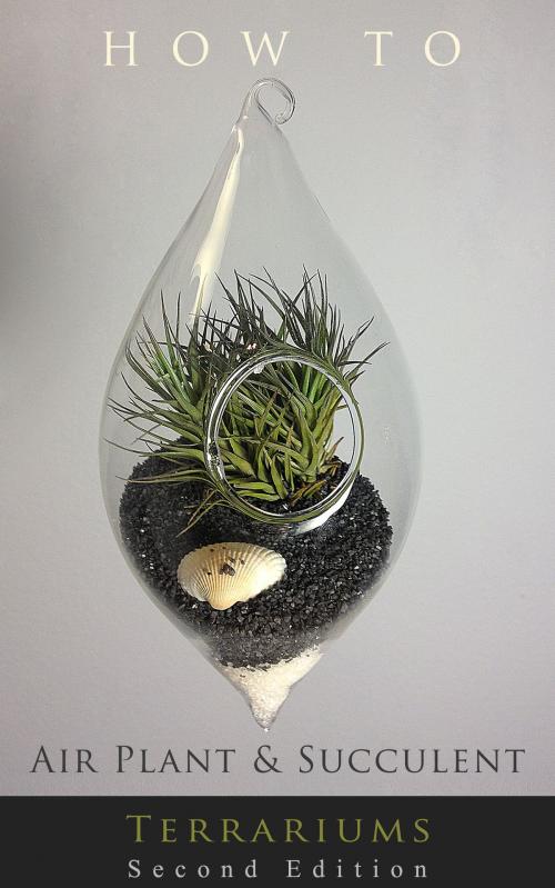 Cover of the book How to... Air Plant and Succulent Terrariums by Nicole Almeida, Hauser Publishing