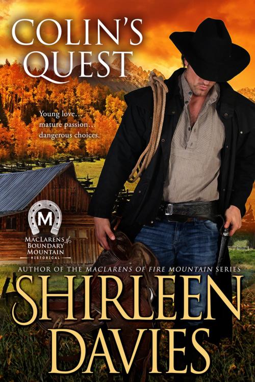 Cover of the book Colin's Quest by Shirleen Davies, Avalanche Ranch Press LLC