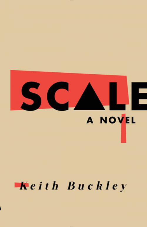 Cover of the book Scale by Keith Buckley, Rare Bird Books