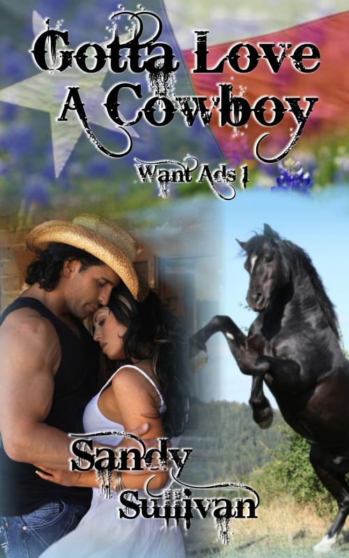 Cover of the book Gotta Love a Cowboy by Sandy Sullivan, Sandy Sullivan