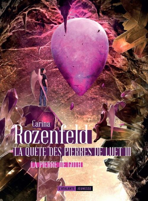 Cover of the book La pierre de Goth by Carina Rozenfeld, L'Atalante