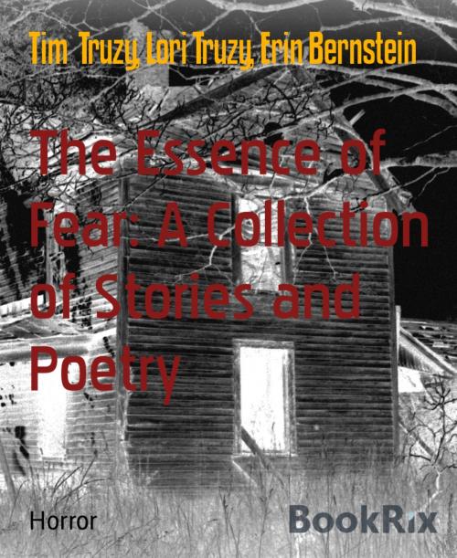 Cover of the book The Essence of Fear: A Collection of Stories and Poetry by Tim Truzy, Lori Truzy, Erin Bernstein, BookRix