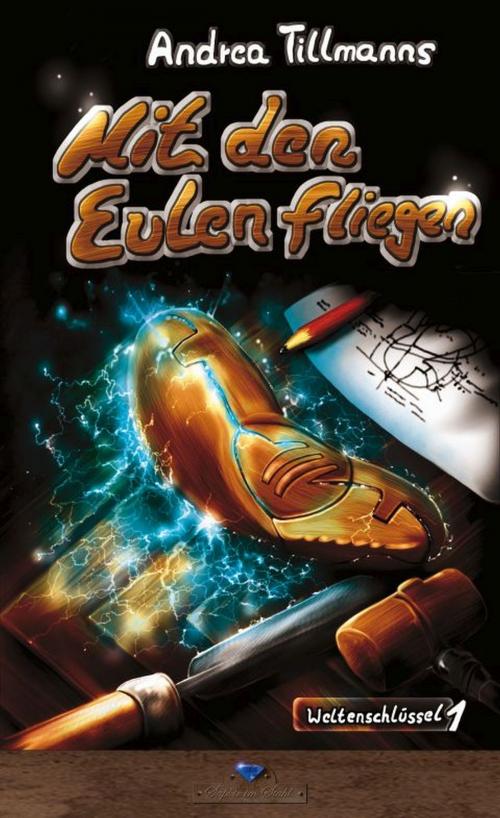 Cover of the book Mit den Eulen fliegen by Andrea Tillmanns, Verlag Saphir im Stahl