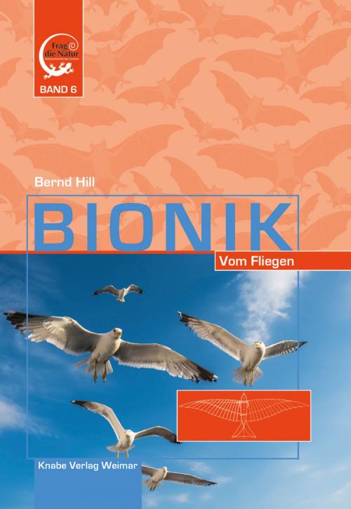 Cover of the book Bionik by Bernd Hill, Knabe Verlag Weimar