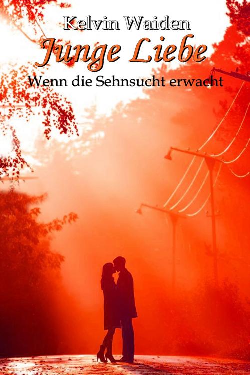 Cover of the book Junge Liebe by Kelvin Waiden, S. Verlag JG