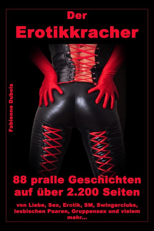 Cover of the book Der Erotikkracher by Fabienne Dubois, Der Neue Morgen - UW