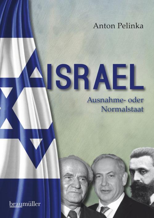 Cover of the book Israel by Anton Pelinka, Braumüller Verlag