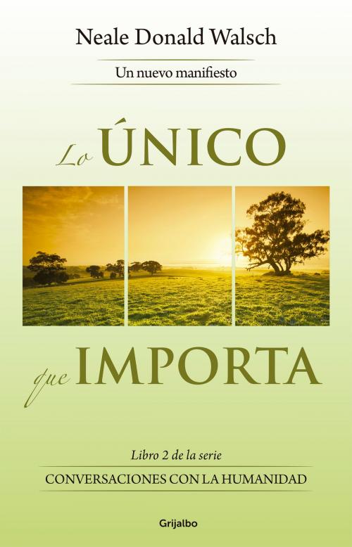 Cover of the book Lo único que importa by Neale Donald Walsch, Penguin Random House Grupo Editorial México