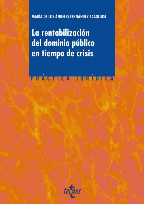 Cover of the book La rentabilización del dominio público en tiempos de crisis by María Ángeles Fernández Scagliusi, Tecnos