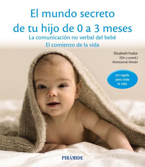 Cover of the book El mundo secreto de tu hijo de 0 a 3 meses by Elizabeth Fodor, Montserrat Morán, Ediciones Pirámide