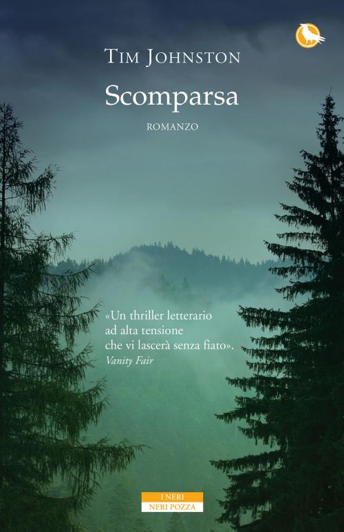 Cover of the book Scomparsa by Tim Johnston, Neri Pozza