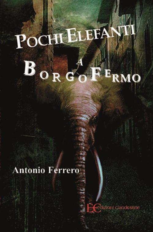 Cover of the book Pochi elefanti a Borgofermo by Antonio Ferrero, Edizioni Clandestine