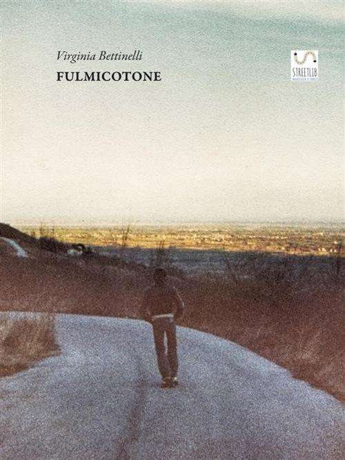 Cover of the book Fulmicotone English Version by Virginia Bettinelli, Virginia Bettinelli