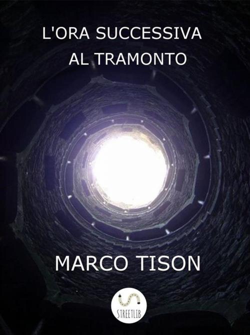 Cover of the book L'ora successiva al tramonto by Marco Tison, Marco Tison