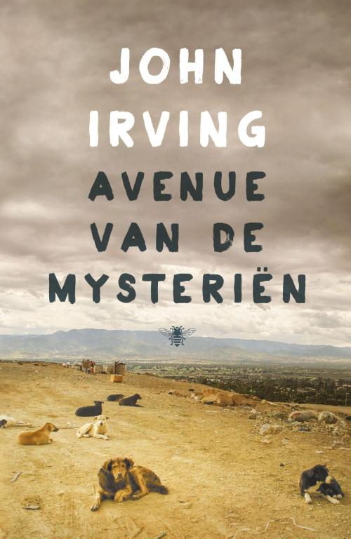 Cover of the book Avenue van de mysteriën by John Irving, Bezige Bij b.v., Uitgeverij De
